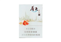 双喜春天1979多少钱一包，双喜春天1979价格明细表