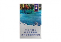 长城九寨之恋多少钱一包，长城九寨之恋价格表图大全