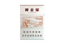 黄金叶三门峡香烟真假辨别