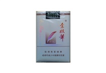 壹枝笔珍贵市场进货价，当前最新价格是多少