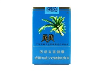 椰树软市场进货价，当前最新价格是多少