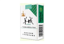 羊城软薄荷多少钱一包，羊城软薄荷香烟当前价格明细